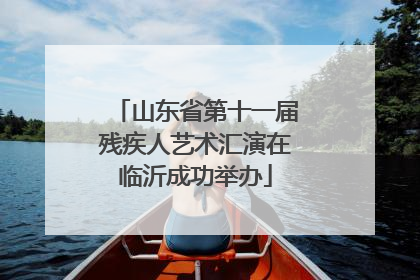 山东省第十一届残疾人艺术汇演在临沂成功举办