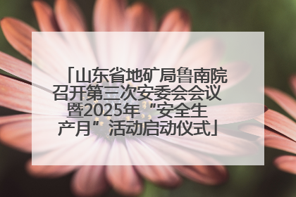 山东省地矿局鲁南院召开第三次安委会会议暨2025年“安全生产月”活动启动仪式