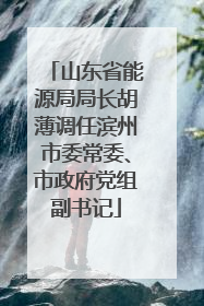 山东省能源局局长胡薄调任滨州市委常委、市政府党组副书记