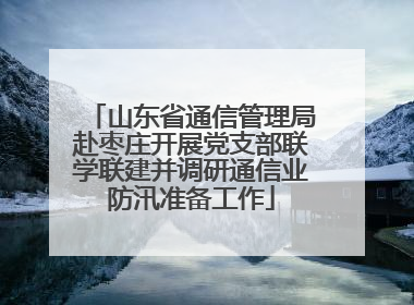 山东省通信管理局赴枣庄开展党支部联学联建并调研通信业防汛准备工作