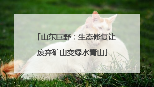 山东巨野：生态修复让废弃矿山变绿水青山