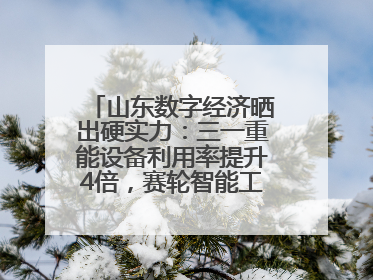 山东数字经济晒出硬实力：三一重能设备利用率提升4倍，赛轮智能工厂38秒生产一条轮胎