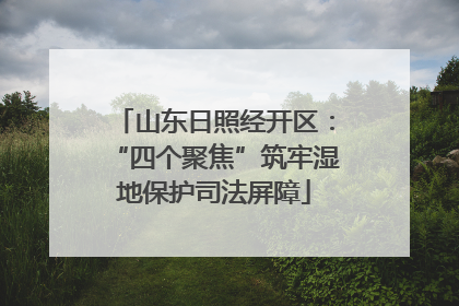 山东日照经开区：“四个聚焦”筑牢湿地保护司法屏障