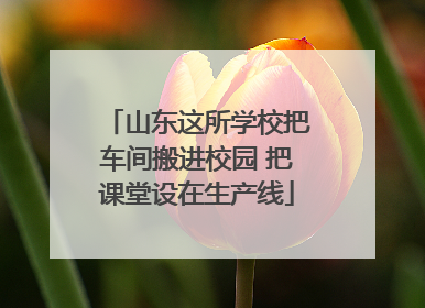 山东这所学校把车间搬进校园 把课堂设在生产线