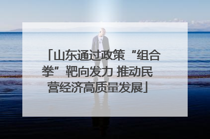 山东通过政策“组合拳”靶向发力 推动民营经济高质量发展