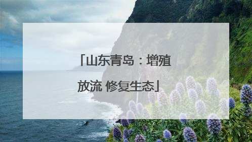 山东青岛：增殖放流 修复生态