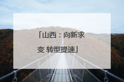 山西：向新求变 转型提速
