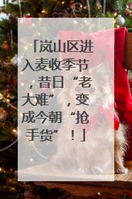 岚山区进入麦收季节，昔日“老大难”，变成今朝“抢手货”！