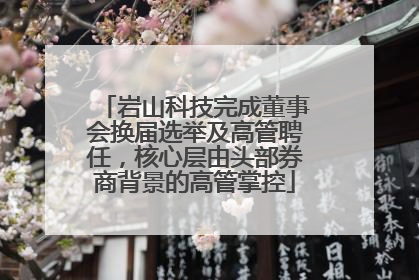 岩山科技完成董事会换届选举及高管聘任，核心层由头部券商背景的高管掌控