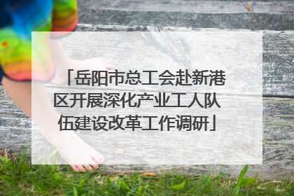 岳阳市总工会赴新港区开展深化产业工人队伍建设改革工作调研