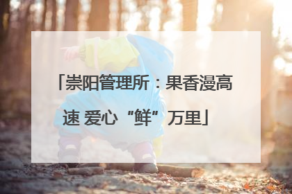 崇阳管理所：果香漫高速 爱心“鲜”万里