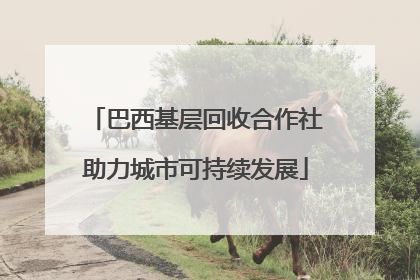 巴西基层回收合作社助力城市可持续发展