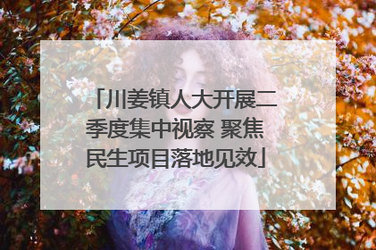 川姜镇人大开展二季度集中视察 聚焦民生项目落地见效