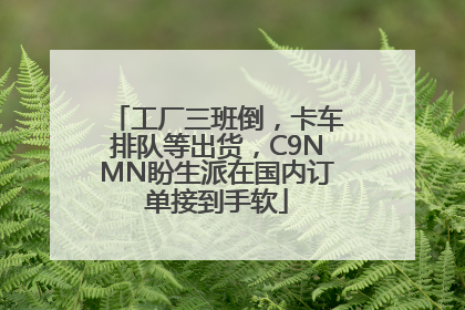工厂三班倒，卡车排队等出货，C9NMN盼生派在国内订单接到手软