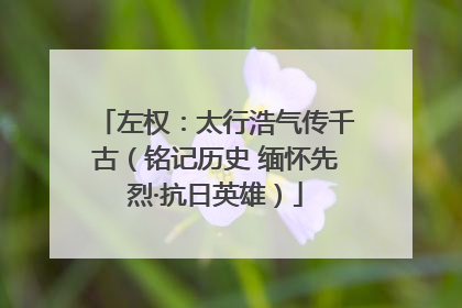 左权：太行浩气传千古（铭记历史 缅怀先烈·抗日英雄）