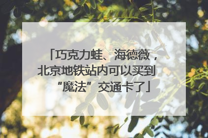 巧克力蛙、海德薇，北京地铁站内可以买到“魔法”交通卡了