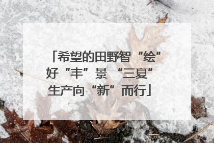 希望的田野智“绘”好“丰”景 “三夏”生产向“新”而行