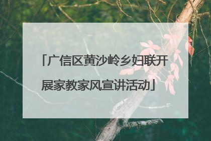 广信区黄沙岭乡妇联开展家教家风宣讲活动