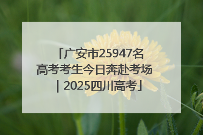 广安市25947名高考考生今日奔赴考场｜2025四川高考