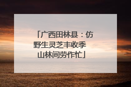 广西田林县：仿野生灵芝丰收季 山林间劳作忙
