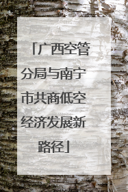 广西空管分局与南宁市共商低空经济发展新路径