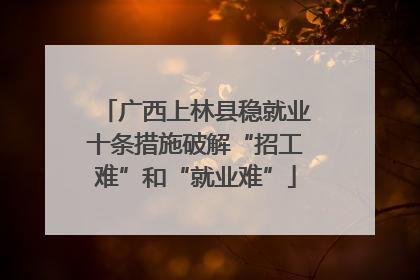 广西上林县稳就业十条措施破解“招工难”和“就业难”