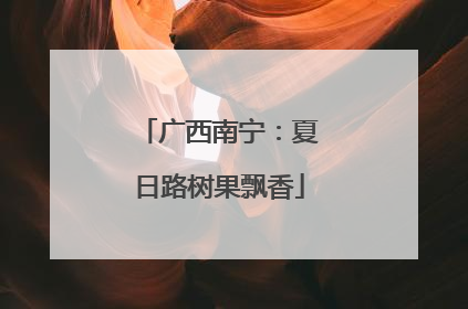 广西南宁：夏日路树果飘香