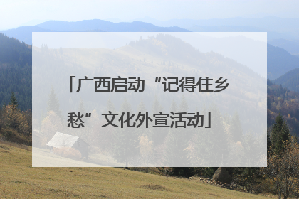 广西启动“记得住乡愁”文化外宣活动