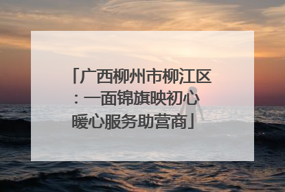 广西柳州市柳江区：一面锦旗映初心 暖心服务助营商