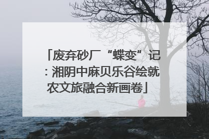 废弃砂厂“蝶变”记：湘阴中麻贝乐谷绘就农文旅融合新画卷