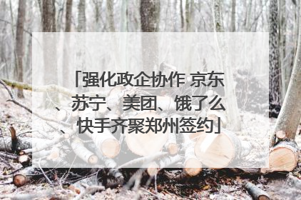 强化政企协作 京东、苏宁、美团、饿了么、快手齐聚郑州签约