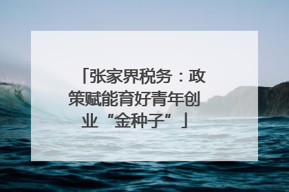 张家界税务：政策赋能育好青年创业“金种子”