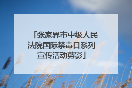 张家界市中级人民法院国际禁毒日系列宣传活动剪影