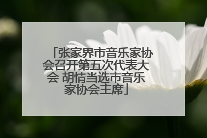 张家界市音乐家协会召开第五次代表大会 胡情当选市音乐家协会主席