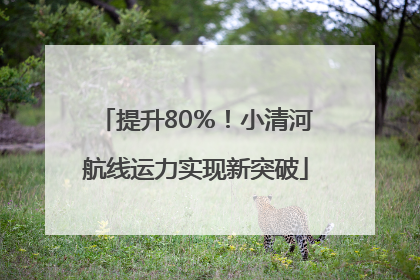 提升80％！小清河航线运力实现新突破