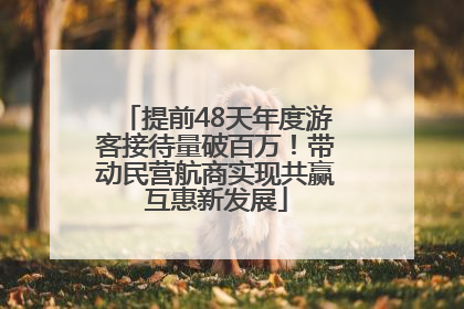 提前48天年度游客接待量破百万！带动民营航商实现共赢互惠新发展