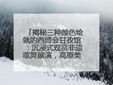 揭秘三种颜色绘就的西博会甘孜馆：沉浸式观赏非遗歌舞展演，高原美味从头吃到尾