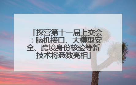 探营第十一届上交会：脑机接口、大模型安全、跨境身份核验等新技术将悉数亮相