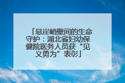悬崖峭壁间的生命守护：湖北省妇幼保健院医务人员获“见义勇为”表彰