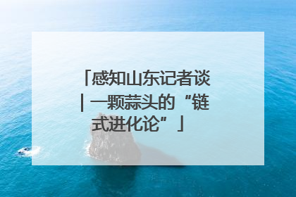 感知山东记者谈｜一颗蒜头的“链式进化论”