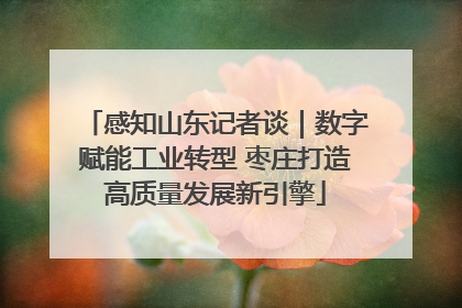 感知山东记者谈｜数字赋能工业转型 枣庄打造高质量发展新引擎