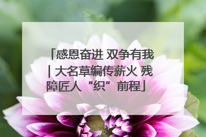 感恩奋进 双争有我｜大名草编传薪火 残障匠人“织”前程