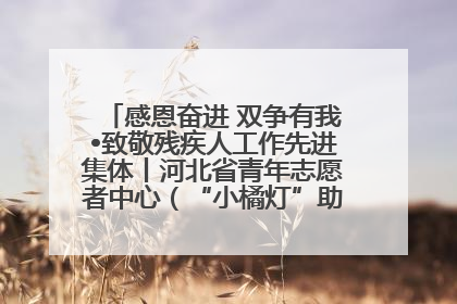 感恩奋进 双争有我•致敬残疾人工作先进集体丨河北省青年志愿者中心（“小橘灯”助残接力计划实施团队）：用温暖陪伴，守护特殊孩子成长