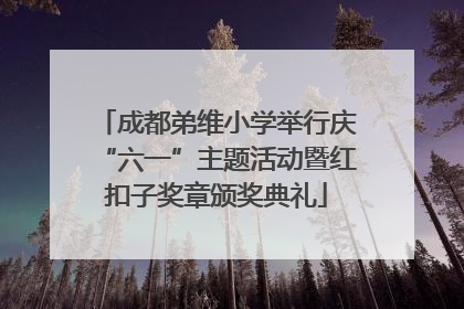 成都弟维小学举行庆“六一”主题活动暨红扣子奖章颁奖典礼