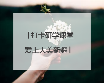 打卡研学课堂 爱上大美新疆