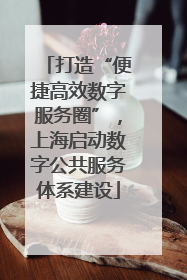 打造“便捷高效数字服务圈”，上海启动数字公共服务体系建设