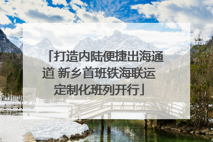 打造内陆便捷出海通道 新乡首班铁海联运定制化班列开行