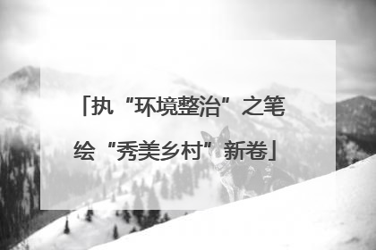 执“环境整治”之笔 绘“秀美乡村”新卷