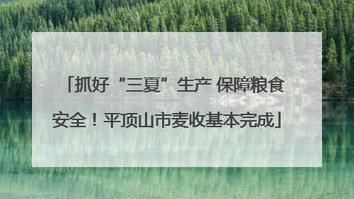 抓好“三夏”生产 保障粮食安全！平顶山市麦收基本完成