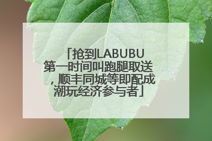 抢到LABUBU第一时间叫跑腿取送，顺丰同城等即配成潮玩经济参与者